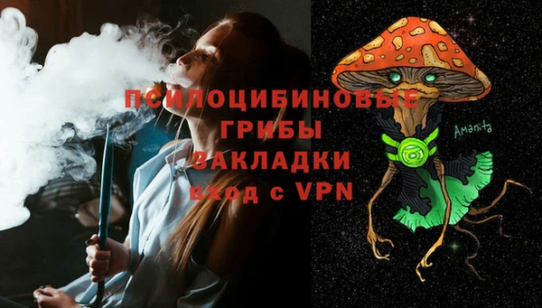 прущие крисы Алзамай