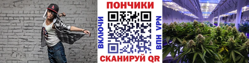 Шишки марихуана гибрид  наркошоп  Ижевск 